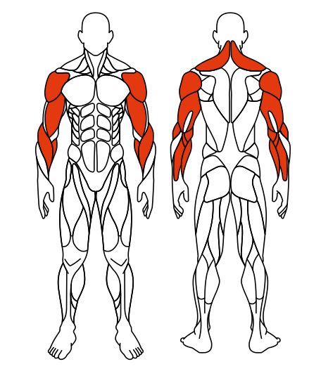 СТ 105 Рули (положение стоя).JPG