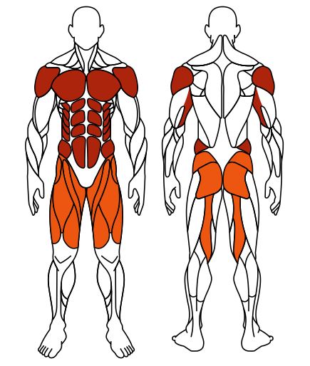 СТ 023 Жим ногами Брусья.JPG