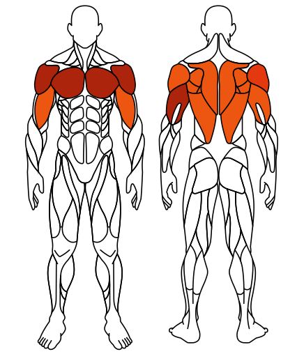 СТ 027 Тяга верхняя Жим от груди.JPG